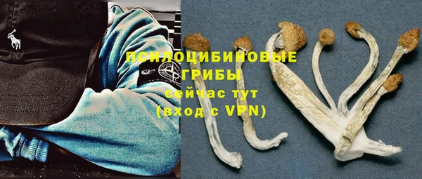 дмт Алексин