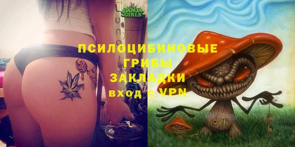 соль ск Вяземский