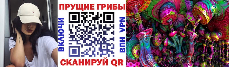 где купить наркоту  Чернушка  Галлюциногенные грибы GOLDEN TEACHER 