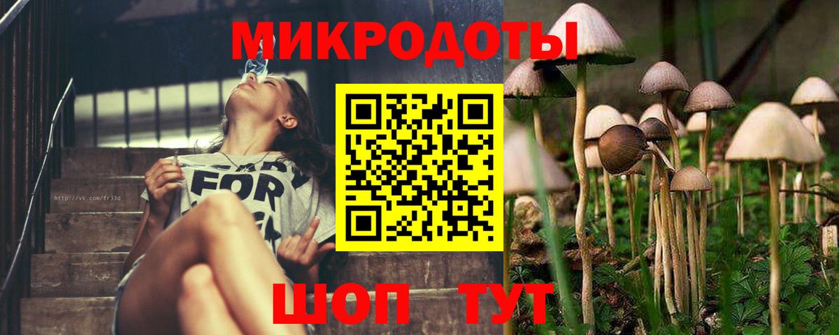 Галлюциногенные грибы ЛСД Чернушка